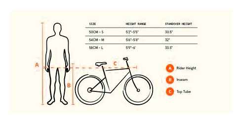 середній, дорослий, велосипед, розмір, дорога, таблиця